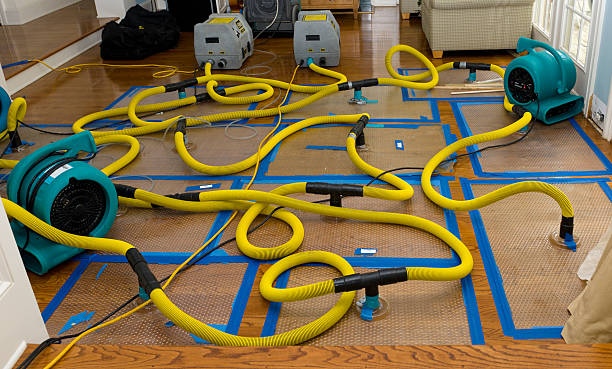 Professional Basement Flood Cleanup technician working in Dover, NJ